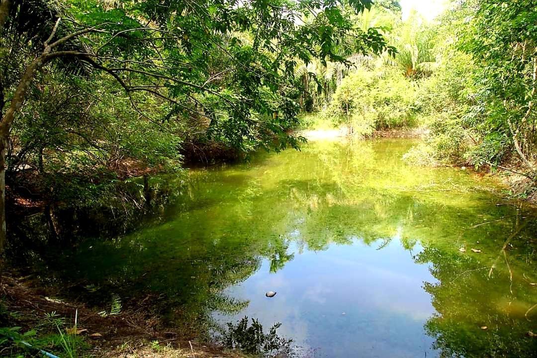 Tuaprodhome Khaulak Szoba fotó